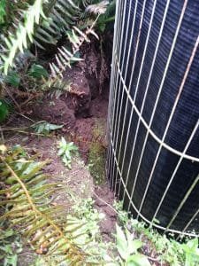 Read more about the article Residential Water Leaks can cause damage