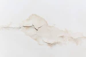 Read more about the article The Role of Regular Leak Detection Inspections For Preventing Water Damage