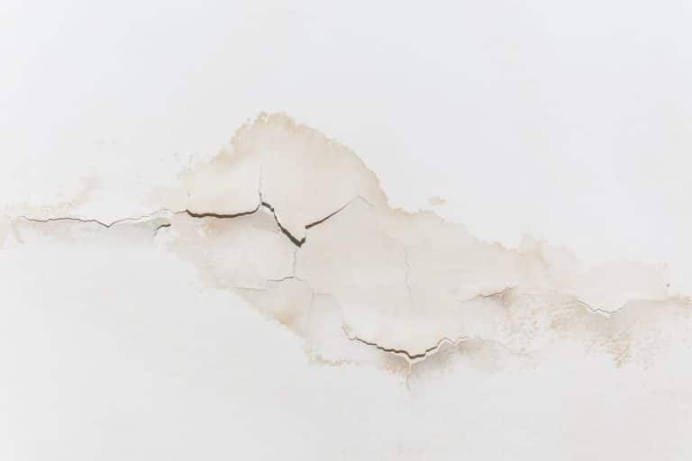 Read more about the article The Role of Regular Leak Detection Inspections For Preventing Water Damage