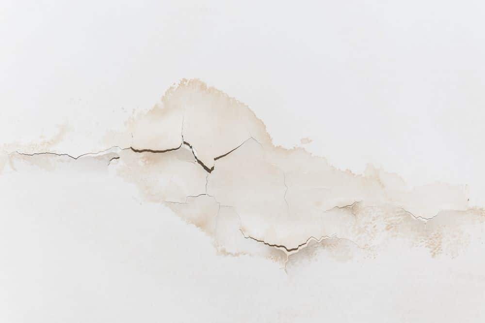 Read more about the article The Role of Regular Leak Detection Inspections For Preventing Water Damage