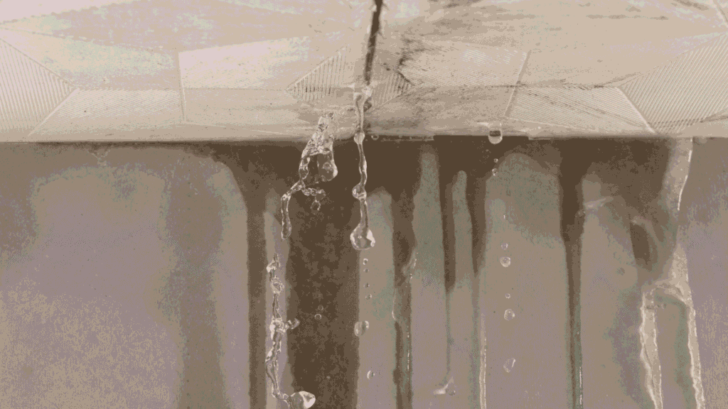 Multi Family Leak Detection